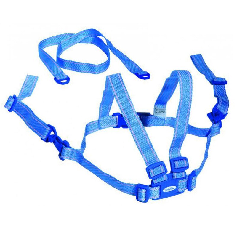 Ham pentru primii pasi BabyOno 070A2, Albastru