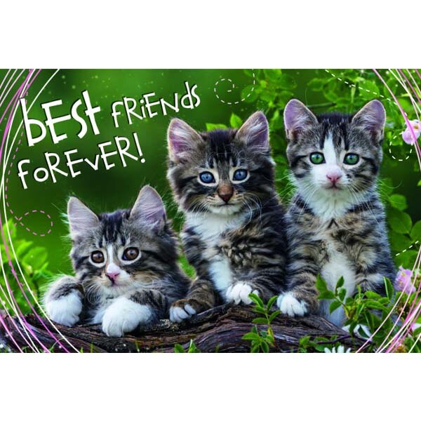 Puzzle Trefl, + 12 ani, Multicolor 500 piese