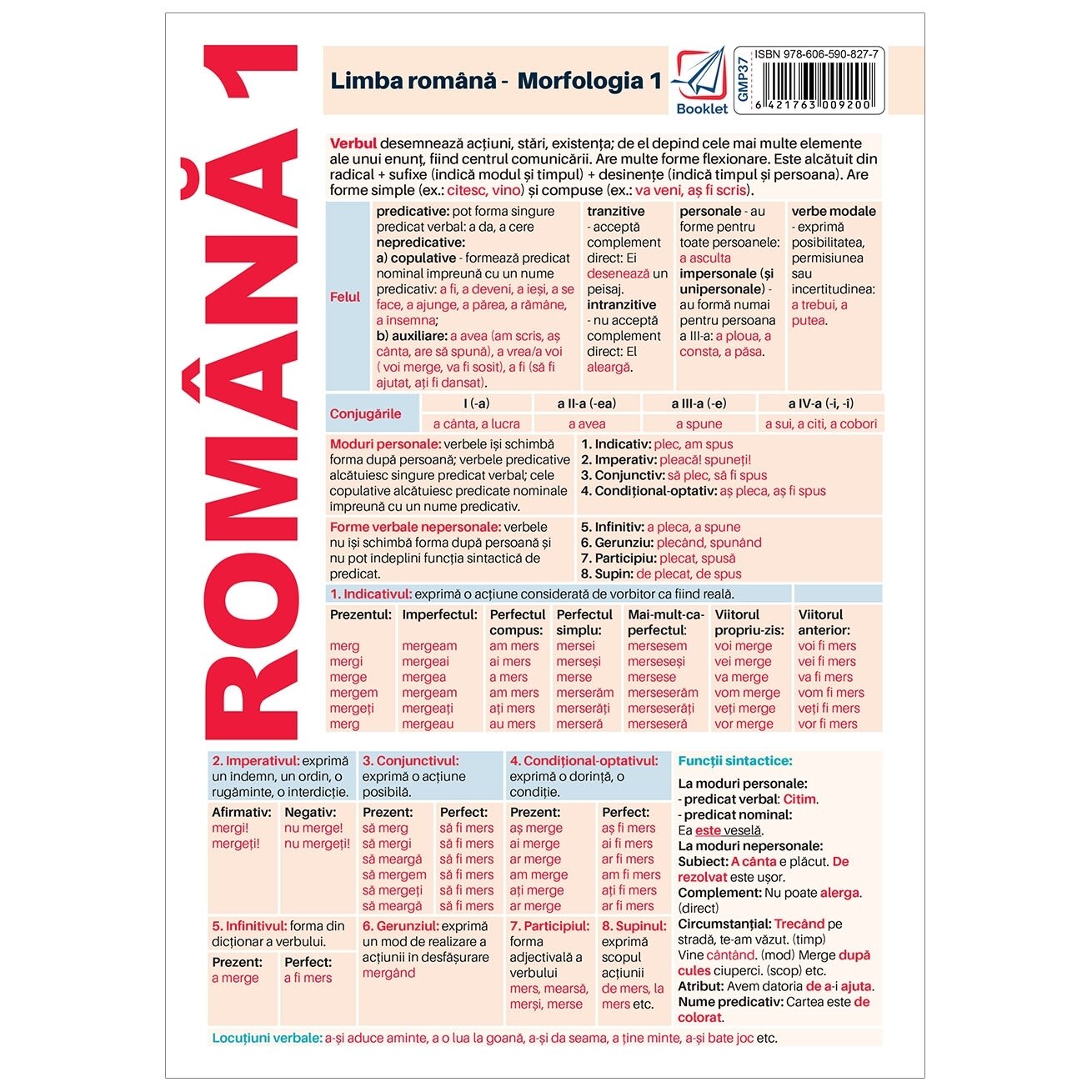 Pliant limba romana - Morfologie 1