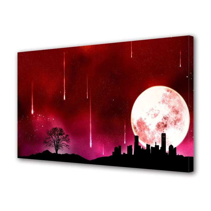 Tablou Canvas noapte rosie, 20 x 30 cm