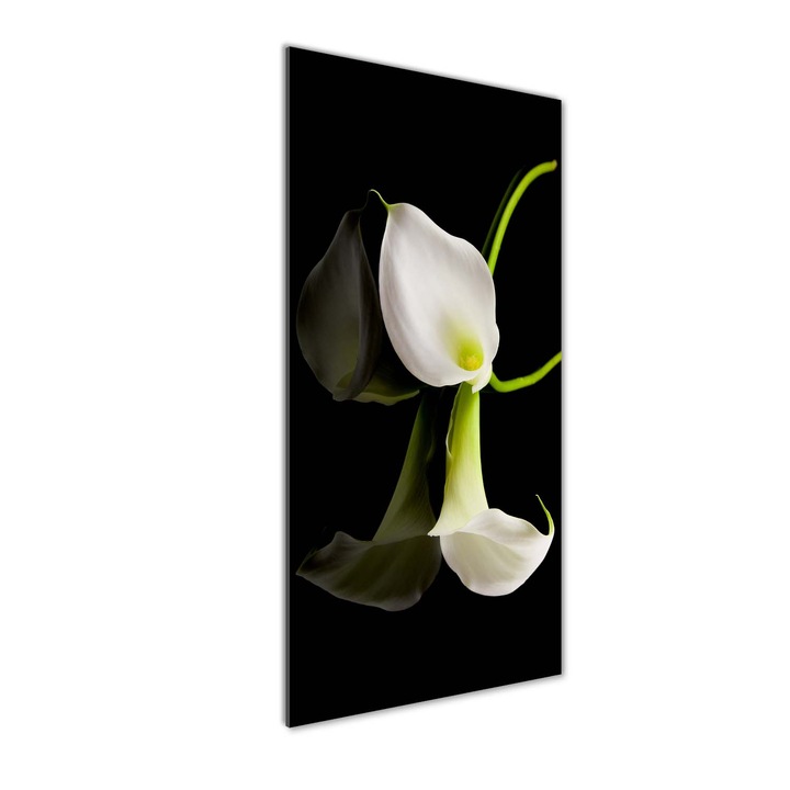 Tablou pe sticla, Tulup, Imagine imprimata sticla, Decorarea peretilor, calla alb, 50x125 cm