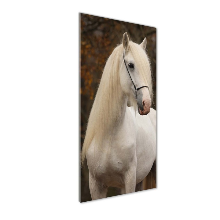 Tablou pe sticla, Tulup, Imagine imprimata sticla, Decorarea peretilor, cal alb, 50x125 cm