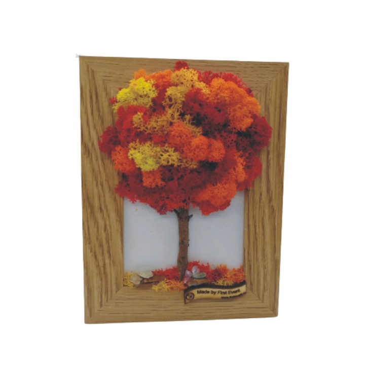 Tablou realizat din licheni, dreptunghiular, care ilustreaza un copacel de toamna, 13x17 cm, First Event, accesorizat cu crengute lemn natural si pietricele