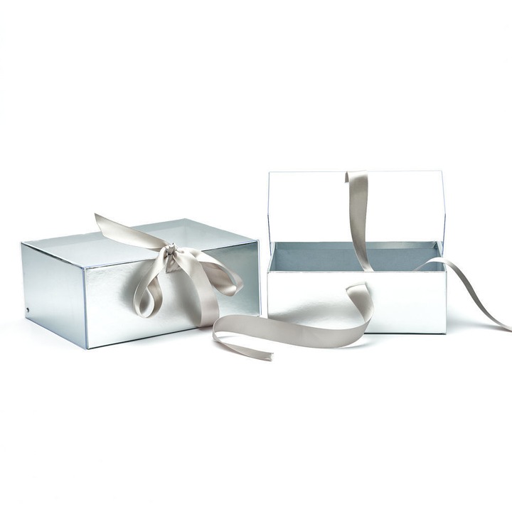 Комплект от 2 правоъгълни кутии с прозрачен прозорец, Createur, сребристи, 24,5 × 19 × 10 cm