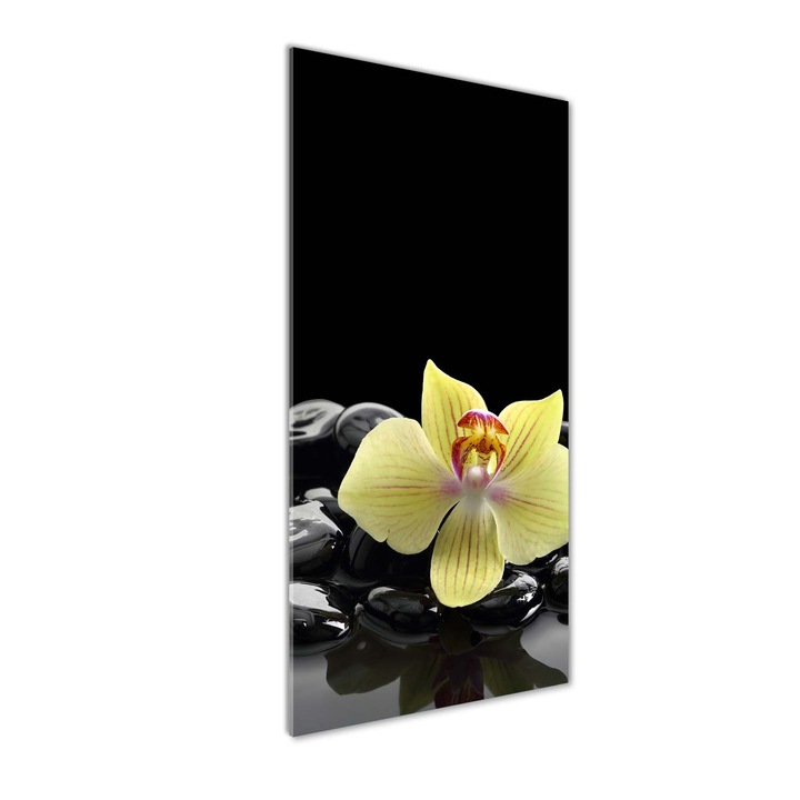 Tablou pe sticla, Tulup, Imagine imprimata sticla, Orhideea si pietre, 50x125 cm