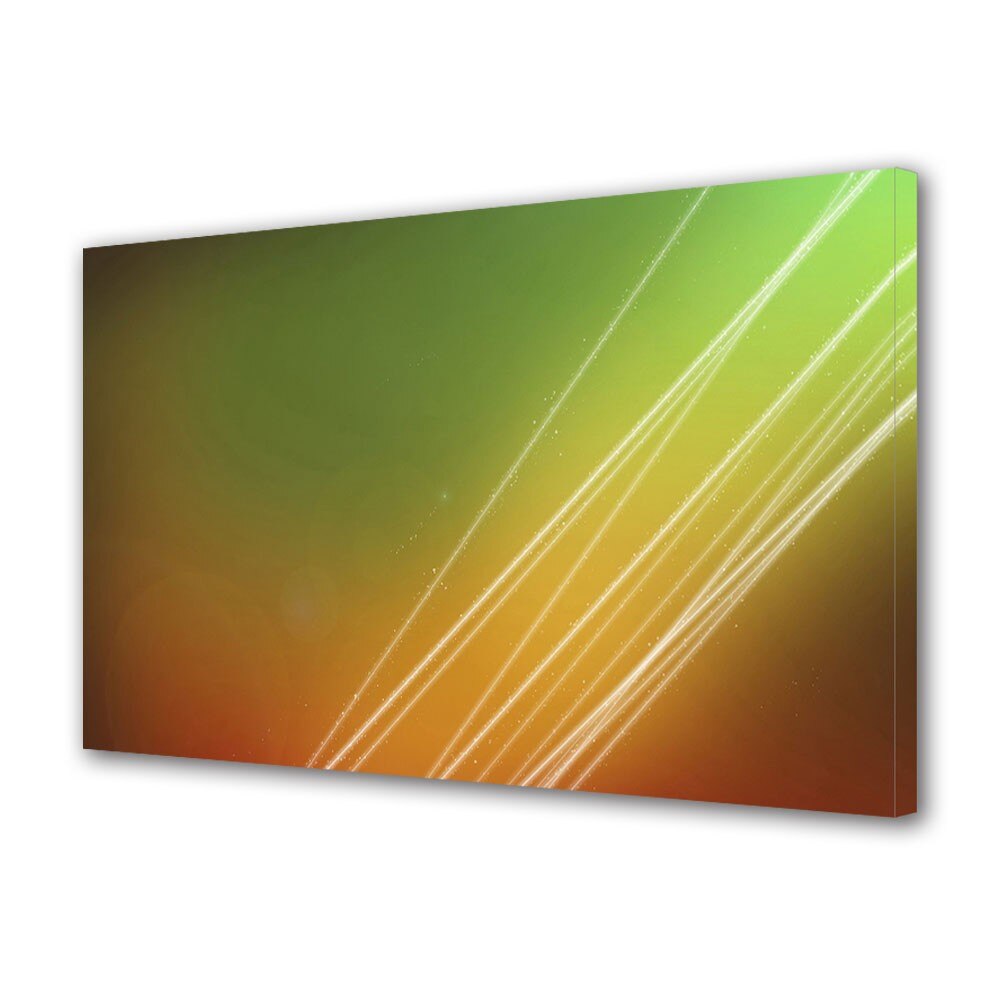 Tablou Canvas Raze fine, 20 x 30 cm