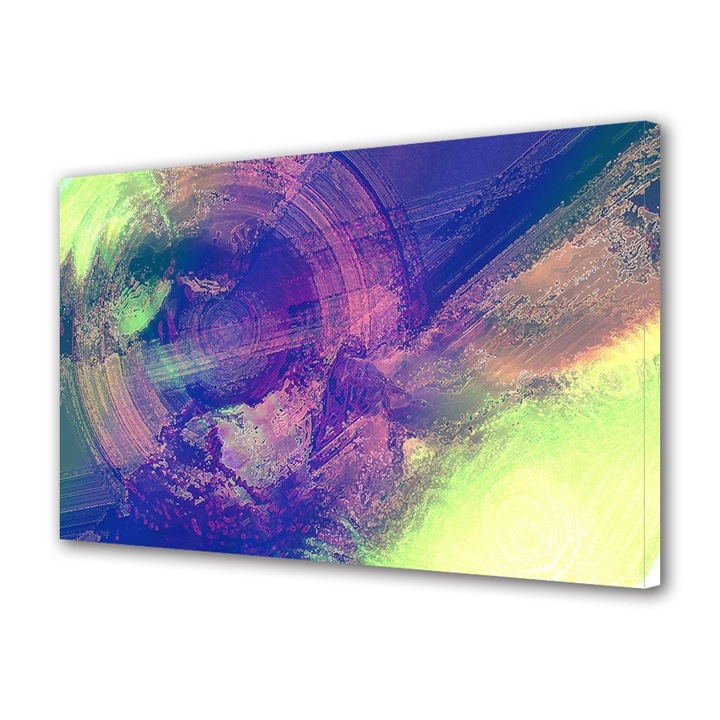 Tablou Canvas Sters, 60 x 90 cm