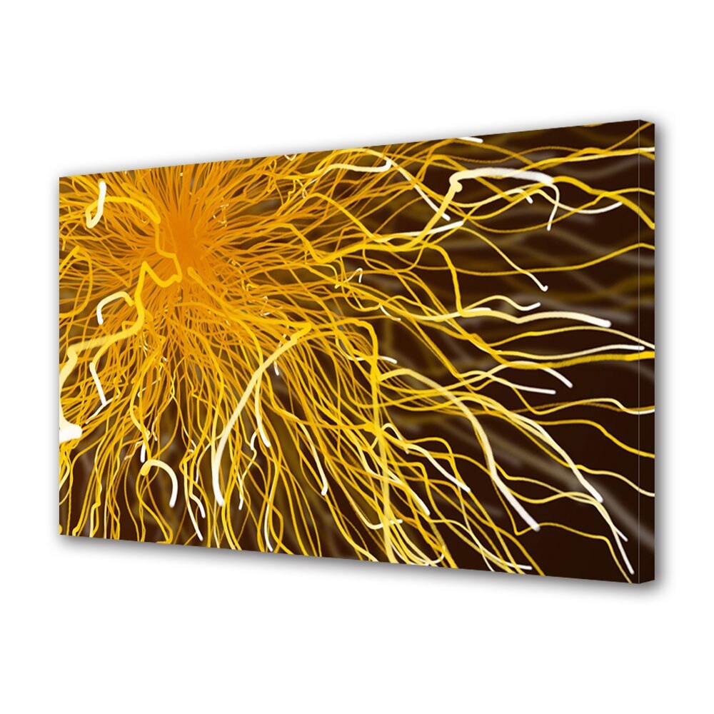 Tablou Canvas Tesla, 20 x 30 cm