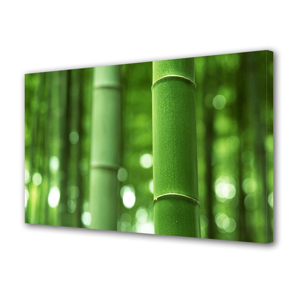 Tablou Canvas Bambus verde ,40 x 60 cm