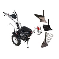 pachet techoworker motocultivator hb 700 rs pro cu accesorii plug simplu plug reglabil plug cartofi prasitoare roti cauciuc 510 rsp054 imagen 17_0_
0