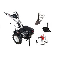 pachet techoworker motocultivator hb 700 rs pro cu accesorii plug cartofi  plug reglabil  prasitoare  roti cauciuc 510 rsp053 imagen 19_0_
0