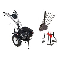 pachet techoworker motocultivator hb 700 rs pro cu accesorii plug cartofi prasitoare roti cauciuc 510 rsp05211 imagen 14_0_
0
