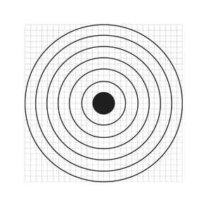 Accesorii sporturi de precizie