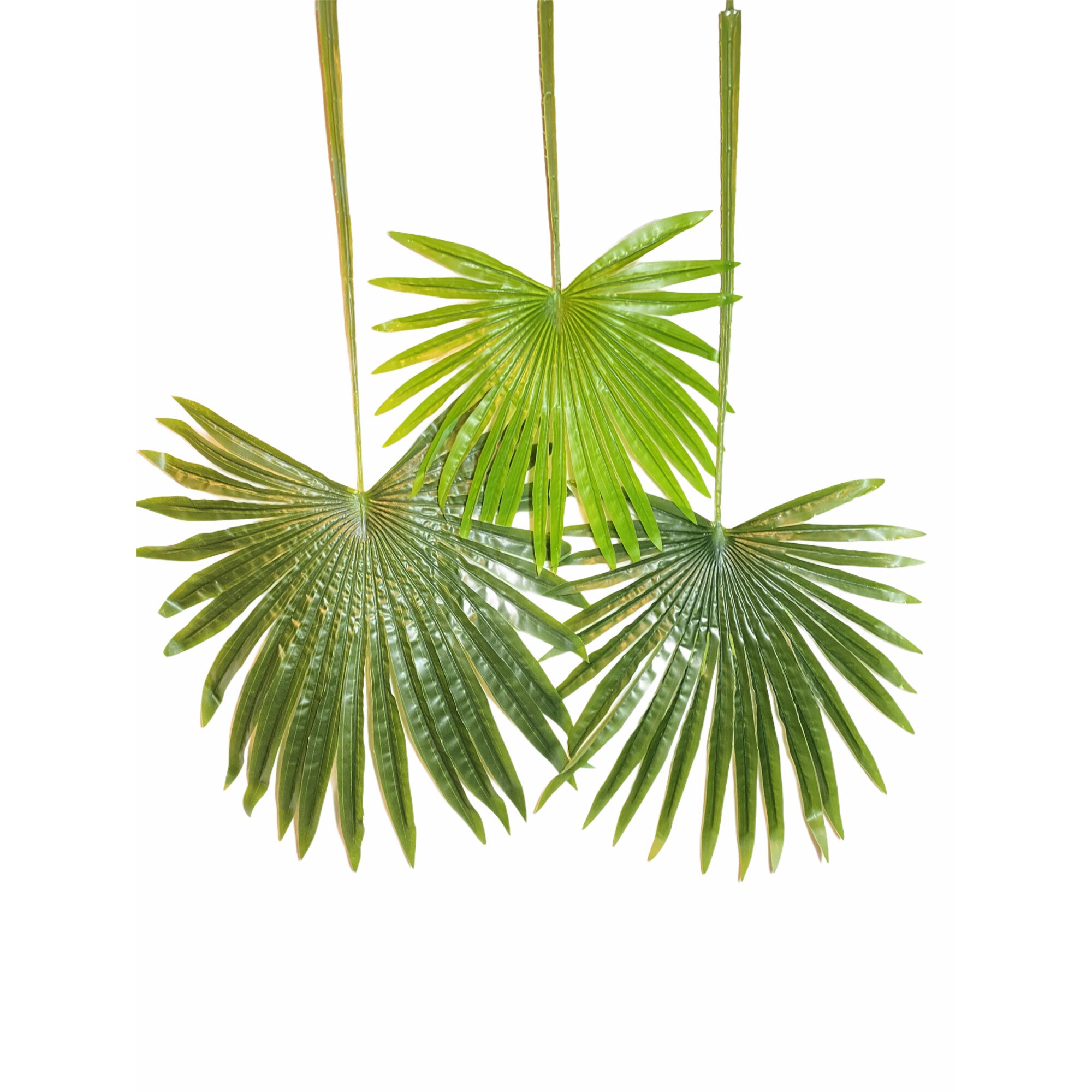 Set 3 frunze artificiale palmier, Atelier, Verde, 97-36cm