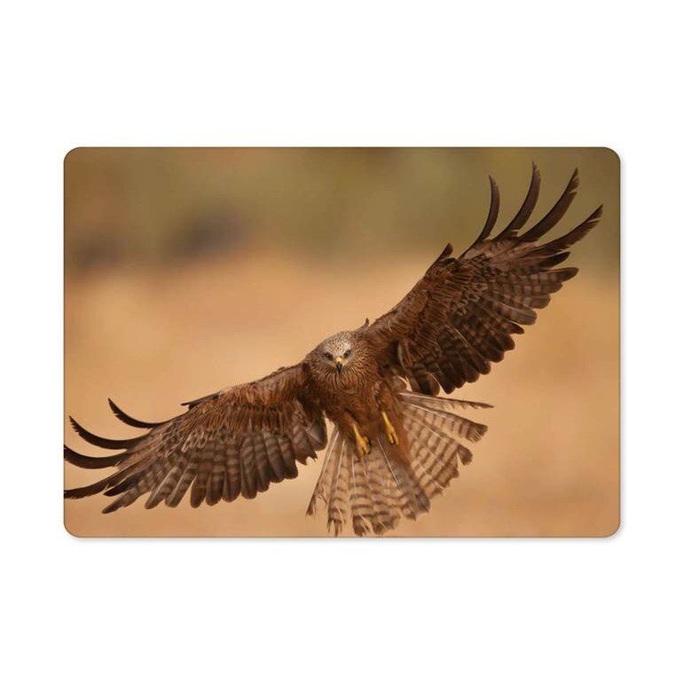 Sas madár 11222 hűtőmágnes - eMAG.hu