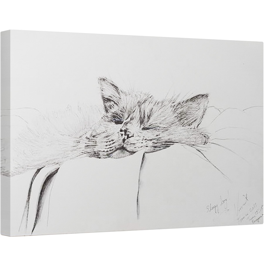 Tablou canvas - Vincent Alexander Booth - Monty baiat somnoros, 2013, 80 x 120cm