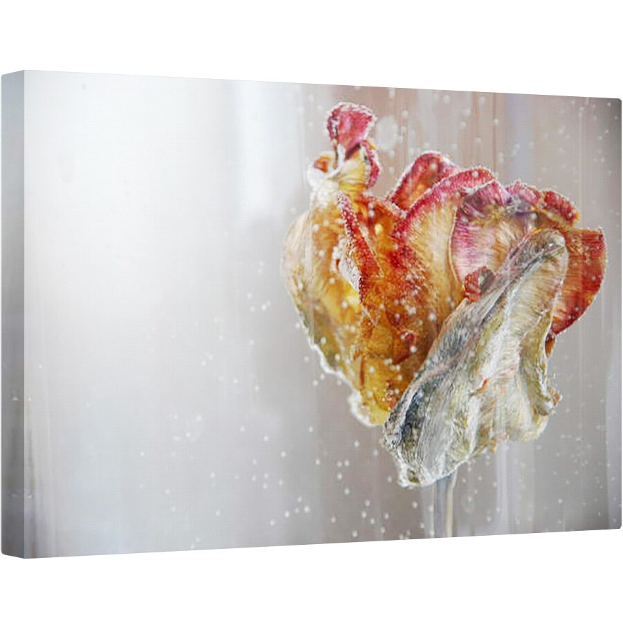 Tablou canvas - Lou Gibbs - Lalea de Apa 1, 2013, 80 x 120cm