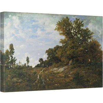 Tablou canvas - Theodore Rousseau - Marginea padurii la Monts-Girard, Padurea Fontainebleau, 40 x 60 cm Tablou canvas - Theodore Rousseau - Marginea padurii la Monts-Girard, Padurea Fontainebleau, 40 x 60 cm