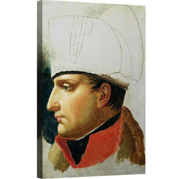 Tablou canvas - Anne Louis Girodet de Roucy-Trioson - Portret neterminat al lui Napoleon I 1769-1821 atribuit anterior lui Jacques Louis David 1748-1825 1808, 80 x 120cm Tablou canvas - Anne Louis Girodet de Roucy-Trioson - Portret neterminat al lui Napoleon I 1769-1821 atribuit anterior lui Jacques Louis David 1748-1825 1808, 80 x 120cm