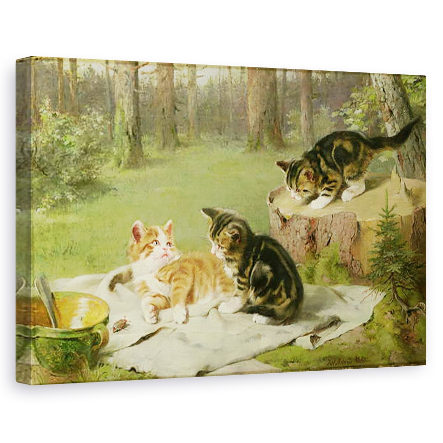 Tablou canvas - Ewald Honnef - Pisoi de joc, 60 x 90 cm