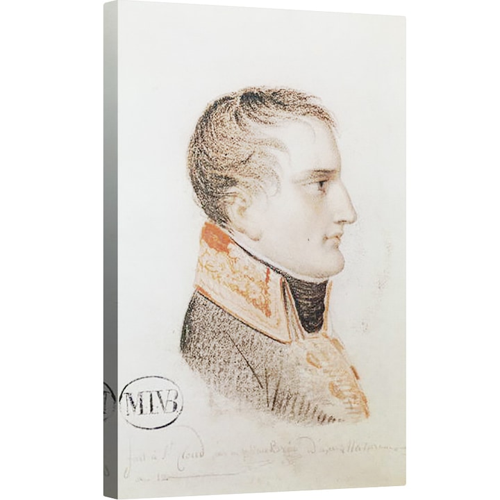 Mathieu Ignace van Bree - Bonaparte 1769-1821, első konzul, tanulmány Bonaparte belépése, első konzul, Vászonkép, 60 x 90 cm