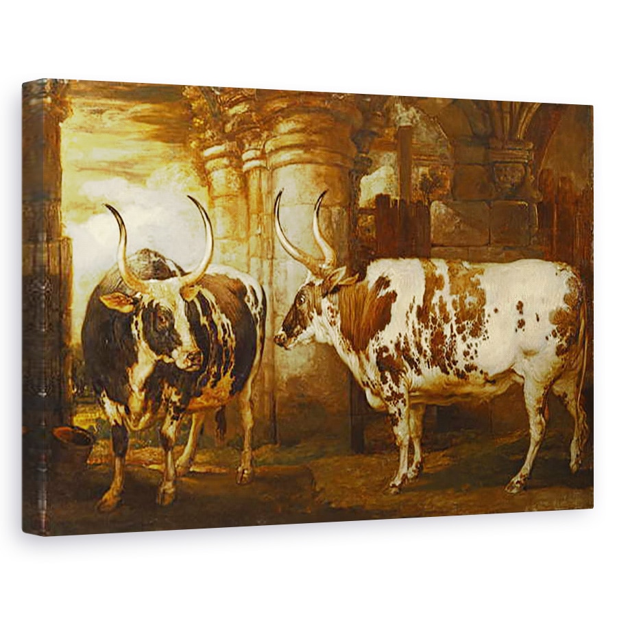 Tablou canvas - James Ward - Portrete a doi boi extraordinari, proprietatea contelui de Powis, 80 x 120cm
