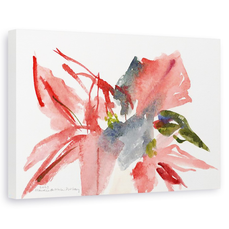 Tablou canvas - Claudia Hutchins-Puechavy - Poinsettia, 60 x 90 cm