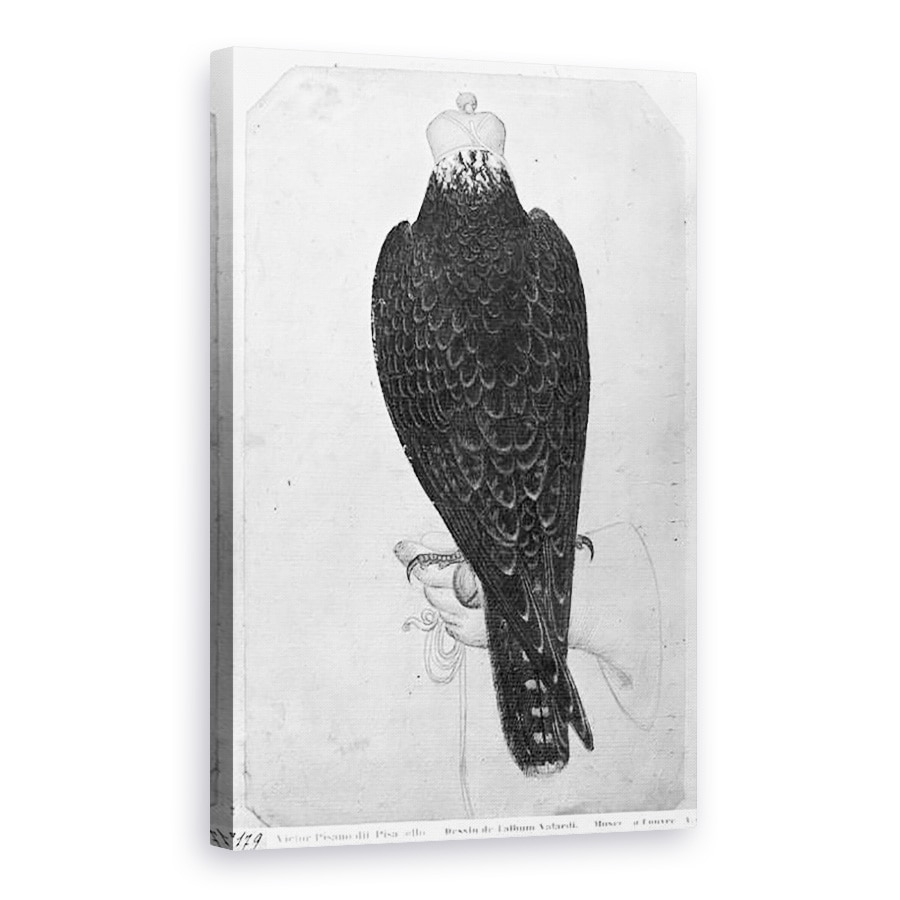 Tablou canvas - Antonio Pisanello - Hawk la indemana, vazut din spate, 80 x 120cm