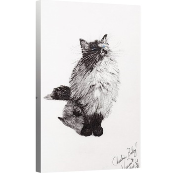 Tablou canvas - Vincent Alexander Booth - obraji copil, 2008, 80 x 120cm Tablou canvas - Vincent Alexander Booth - obraji copil, 2008, 80 x 120cm