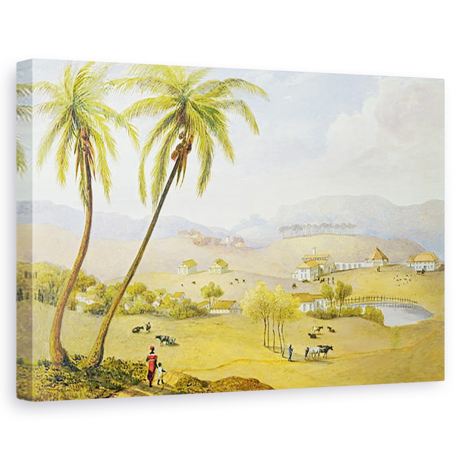 Tablou canvas - James Hakewill - Haughton Court, Hanovra, Jamaica, 60 x 90 cm
