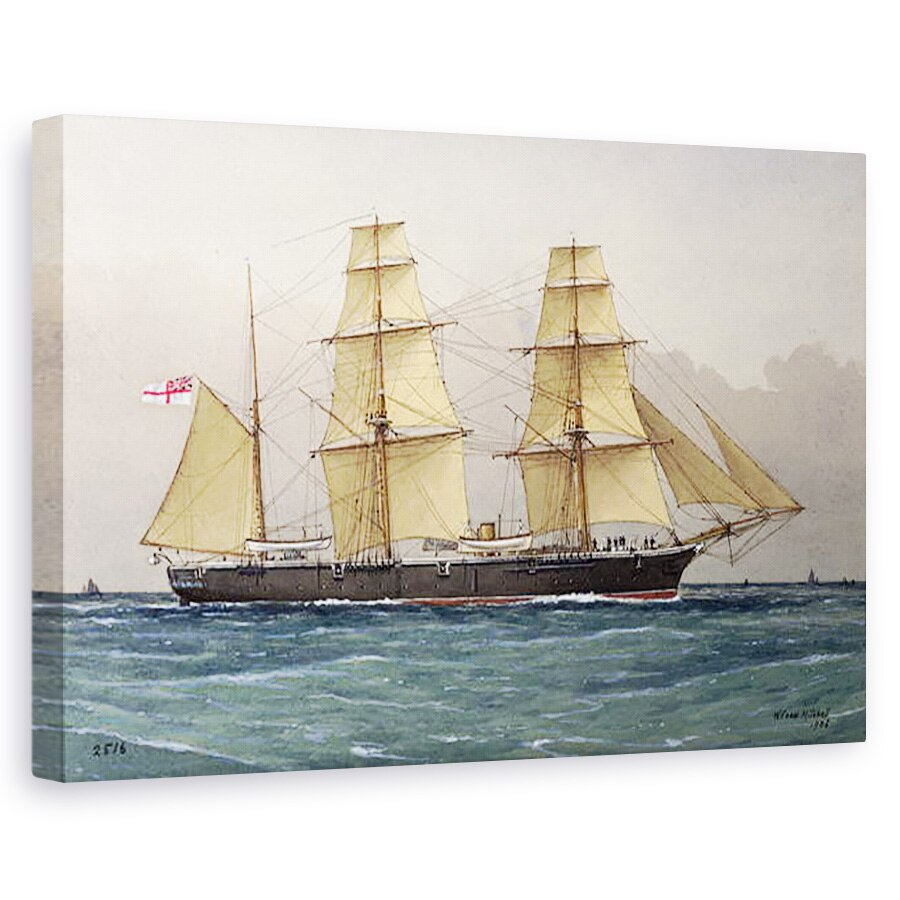 Tablou canvas - William Frederick Mitchell - Lebada salbatica, 60 x 90 cm