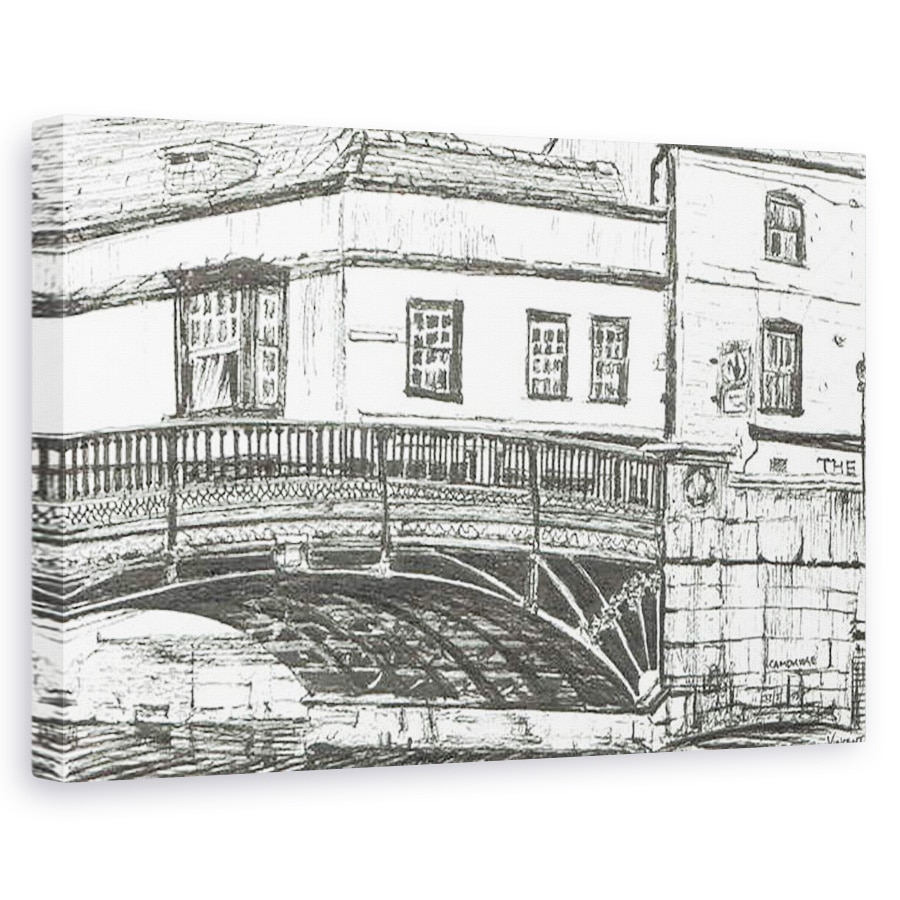 Tablou canvas - Vincent Alexander Booth - Cambridge, 2008, 40 x 60 cm