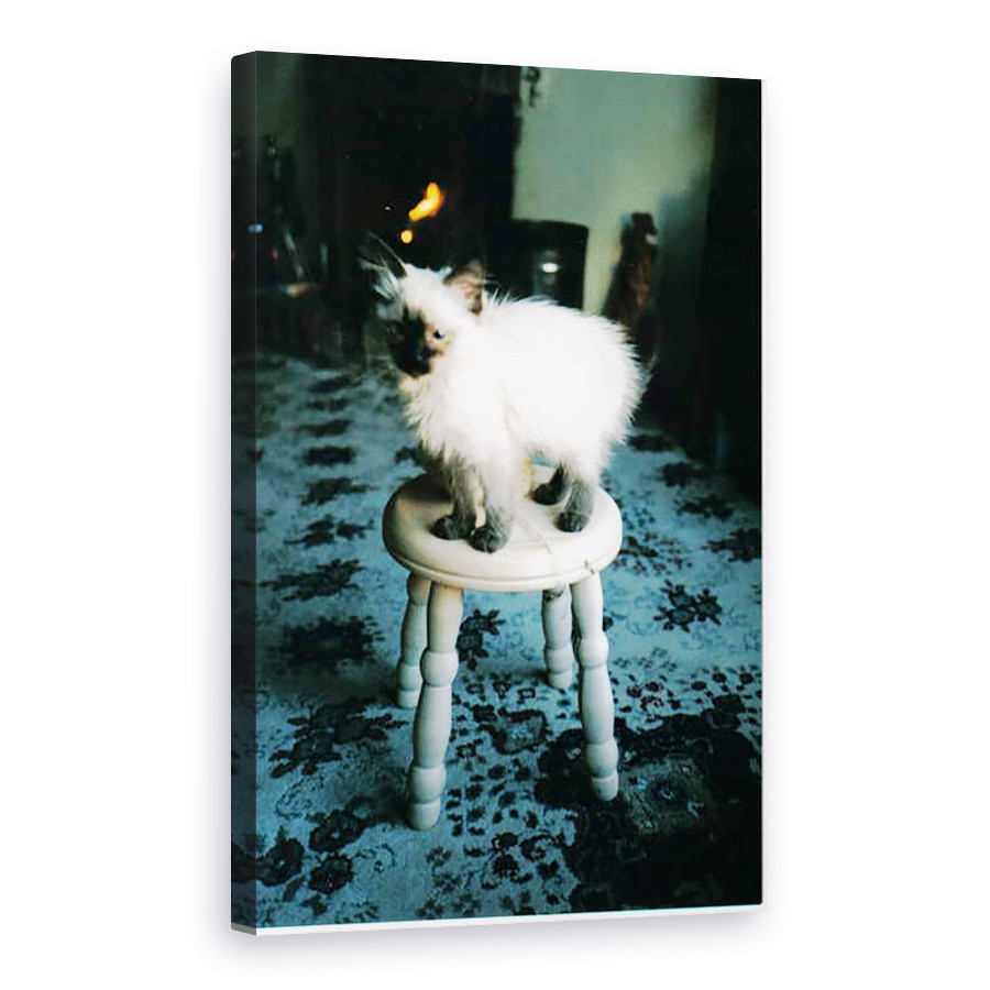 Tablou canvas - Vincent Alexander Booth - Sora lui Ice pisoi, 2006, 80 x 120cm