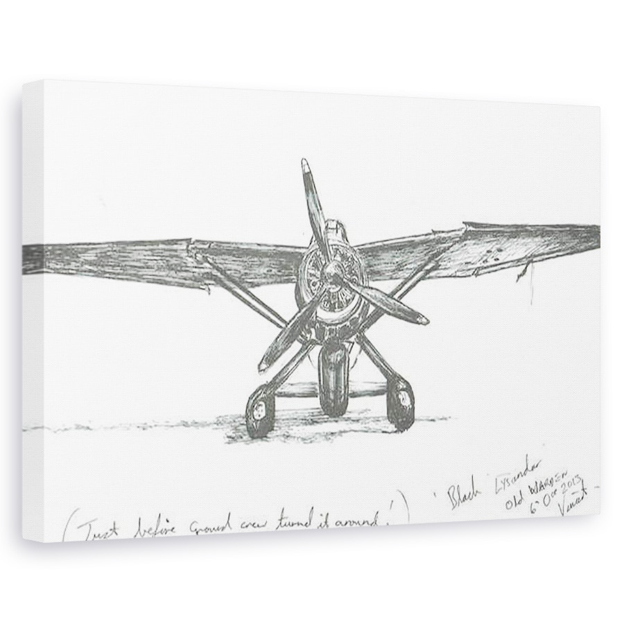 Tablou canvas - Vincent Alexander Booth - Lysander la Old Warden, 2012, 80 x 120cm