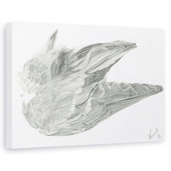 Tablou canvas - Vincent Alexander Booth - Aripa, 1996, 40 x 60 cm Tablou canvas - Vincent Alexander Booth - Aripa, 1996, 40 x 60 cm