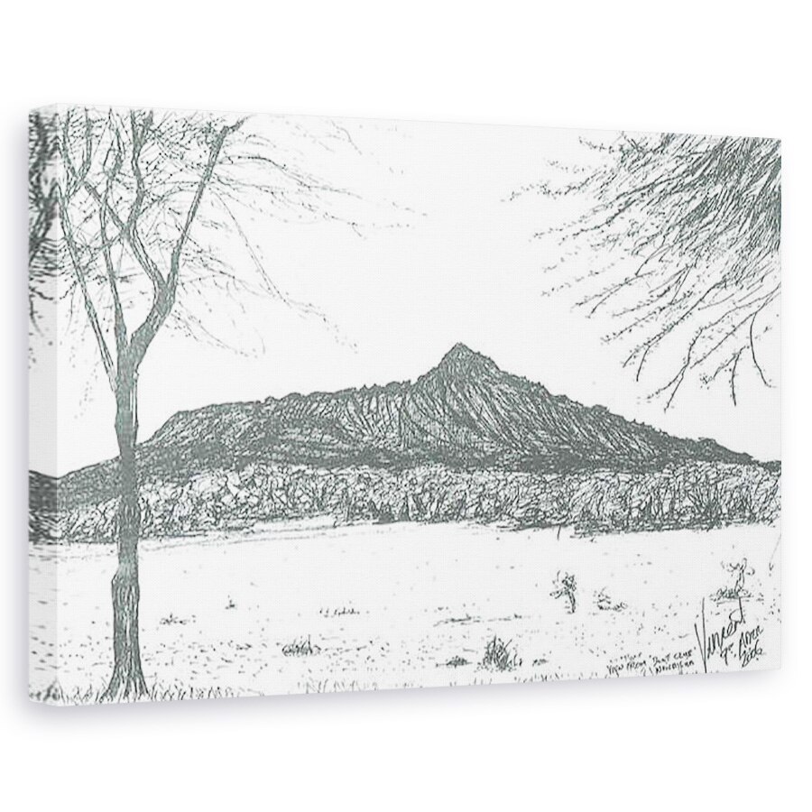 Tablou canvas - Vincent Alexander Booth - Munte de la clubul de barci de la lacul Naivasha, Kenya, 2006, 80 x 120cm