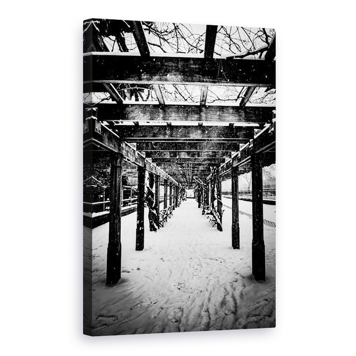 Tablou canvas - Guilherme Pontes - Parcul Central de iarna, 60 x 90 cm