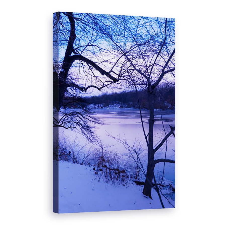 Tablou canvas - Guilherme Pontes - Parcul Central Violet Iarna, 40 x 60 cm