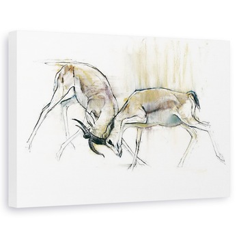 Tablou canvas - Mark Adlington - Gazele de nisip, 60 x 90 cm Tablou canvas - Mark Adlington - Gazele de nisip, 60 x 90 cm