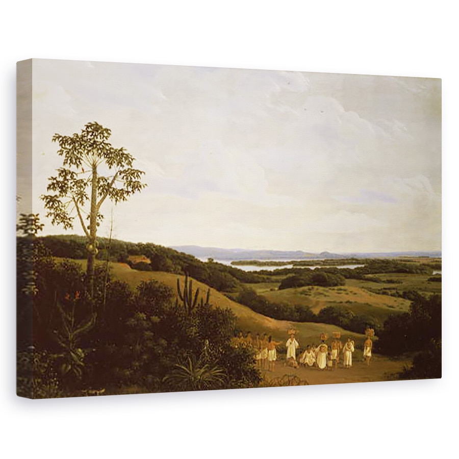 Tablou canvas - Frans Jansz Post - Vedere panoramica in Brazilia cu un rau in departare ulei pe panou, 80 x 120cm