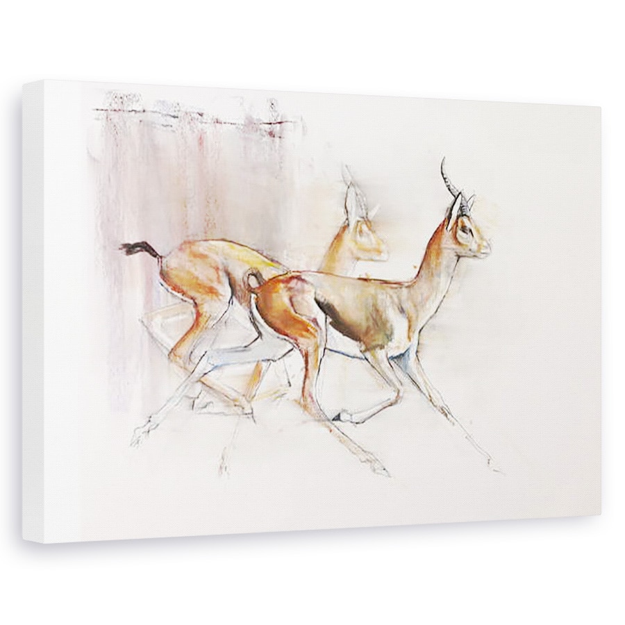 Tablou canvas - Mark Adlington - Rularea Arabian Gazele, 60 x 90 cm