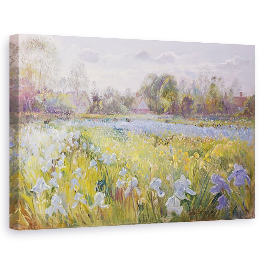 Tablou canvas - Timothy Easton - Iris Camp in lumina serii, 60 x 90 cm