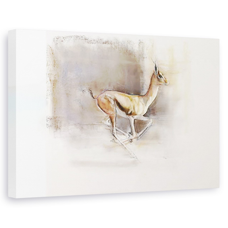 Tablou canvas - Mark Adlington - Vant desert Arabian Gazelle, 80 x 120cm