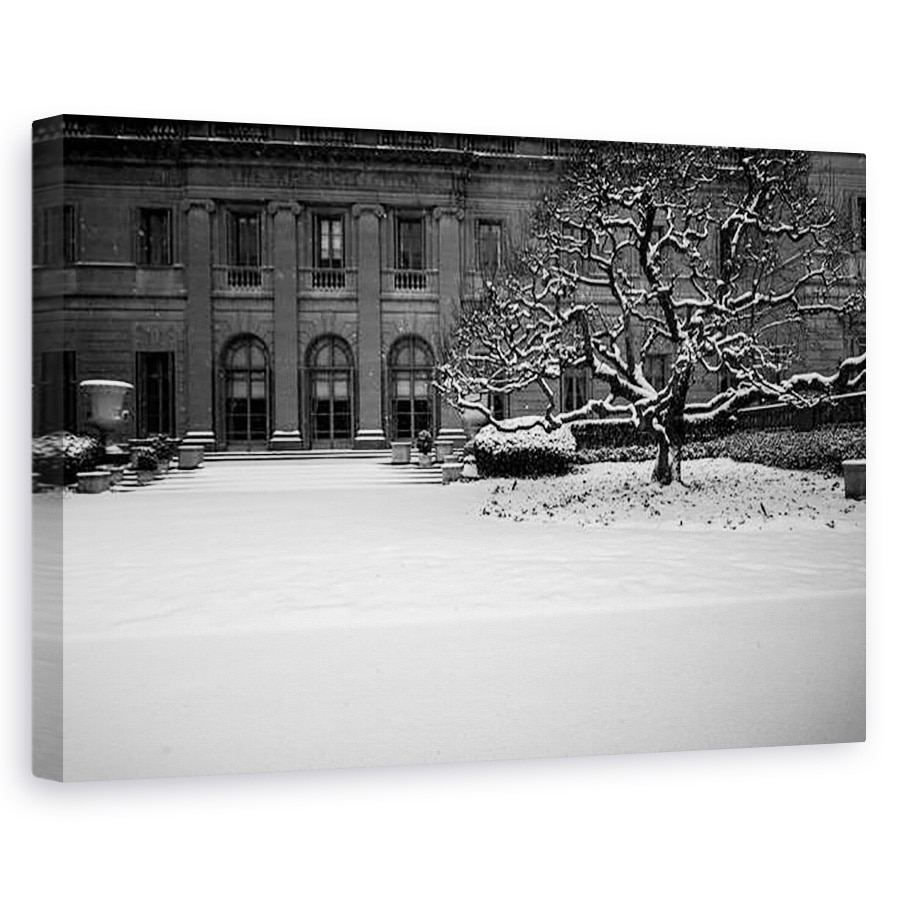 Tablou canvas - Guilherme Pontes - Colectia Frick Iarna Nº2, 40 x 60 cm