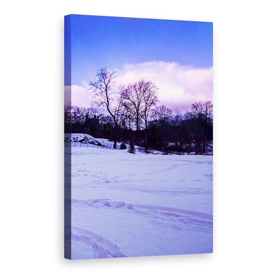 Tablou canvas - Guilherme Pontes - Parcul Central Violet Iarna Nº2, 40 x 60 cm