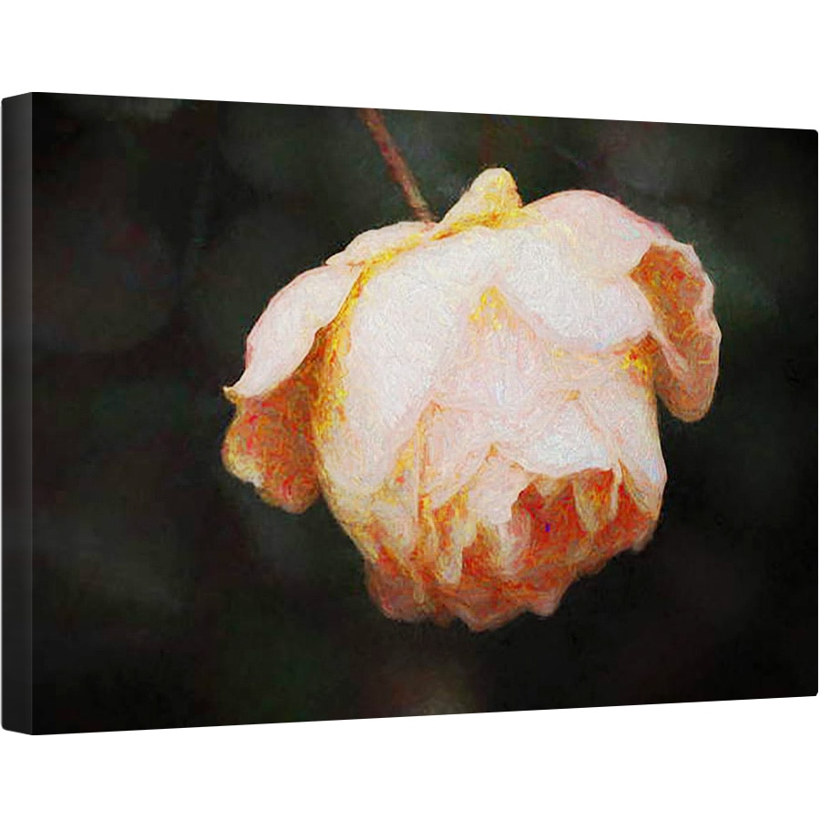 Tablou canvas - Helen White - Bloom, 2018, 40 x 60 cm