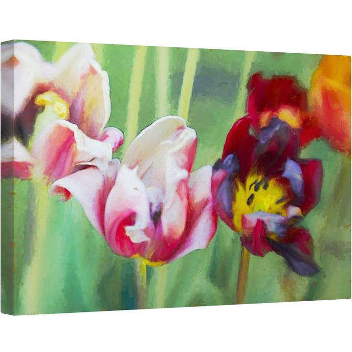 Tablou canvas - Helen White - Lalele luminoase, 2018, 80 x 120cm