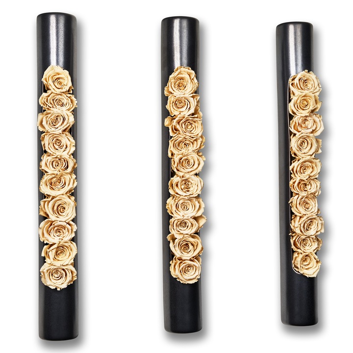 Set de 3 decoratiuni pentru perete cu trandafiri, Infinity, Bloom bigTube, 65x7,5 cm