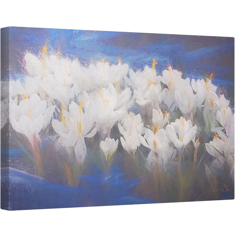 Tablou canvas - Helen White - Crocuses de primavara, 2018, 80 x 120cm