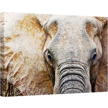 Tablou canvas - Eric Meyer - Elefant detaliu, 2017, 60 x 90 cm Tablou canvas - Eric Meyer - Elefant detaliu, 2017, 60 x 90 cm